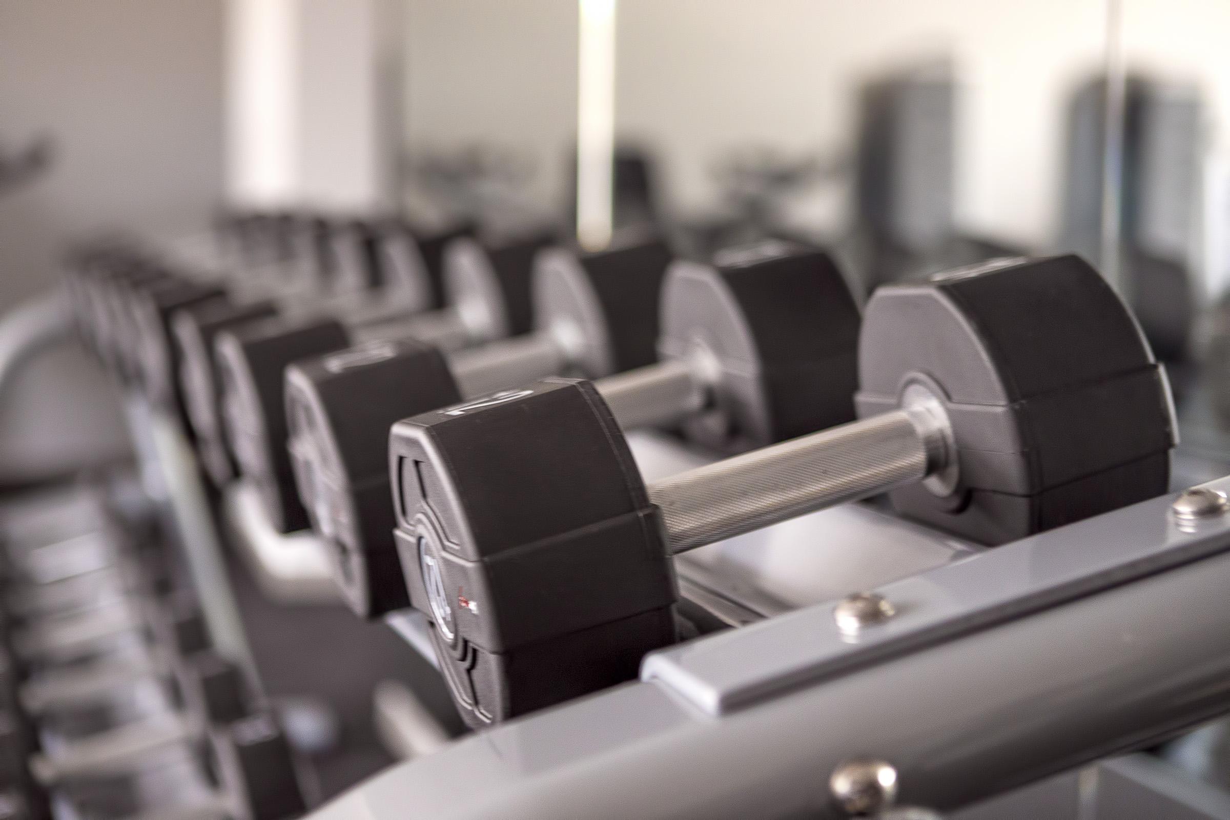 Luxury Hotel Riva Malinska Exterior foto Dumbbells on a rack